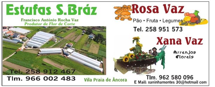 Estufas S. Bráz · Rosa Vaz · Xana Vaz