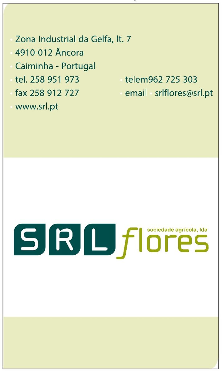 SRL Flores